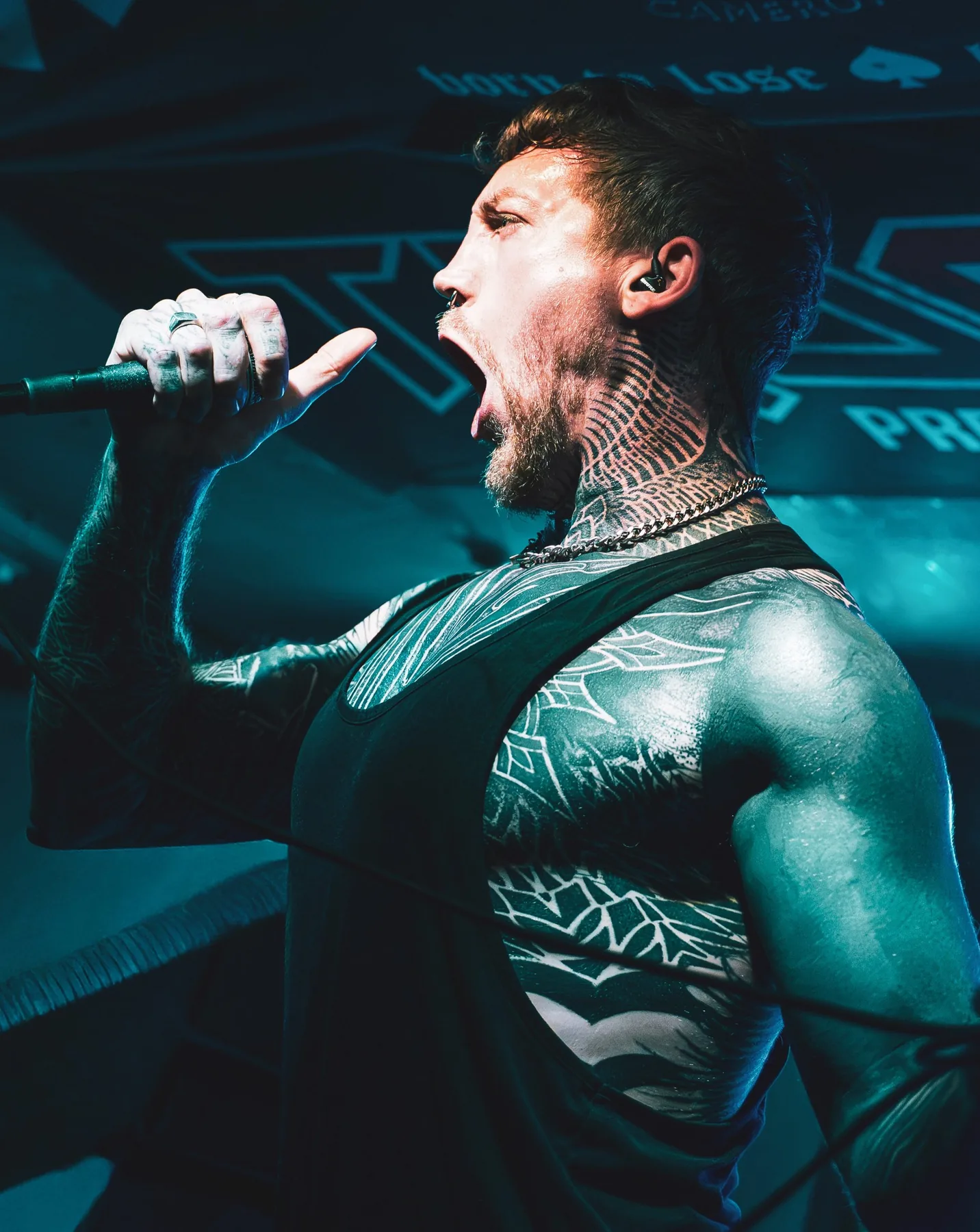 Live music photography & film portfolio image by Firebug Media